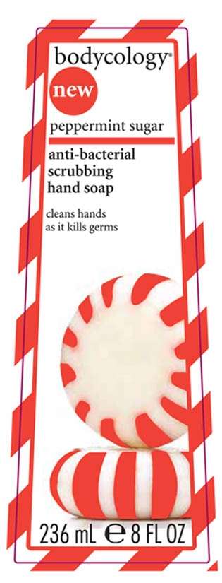 Bodycology Peppermint Sugar anti-bacterial scrubbing hand soap