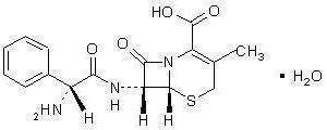 Cephalexin