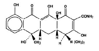 Tetracycline Hydrochloride