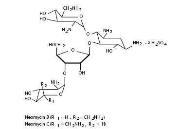 Neomycin and Polymyxin B Sulfates and Hydrocortisone