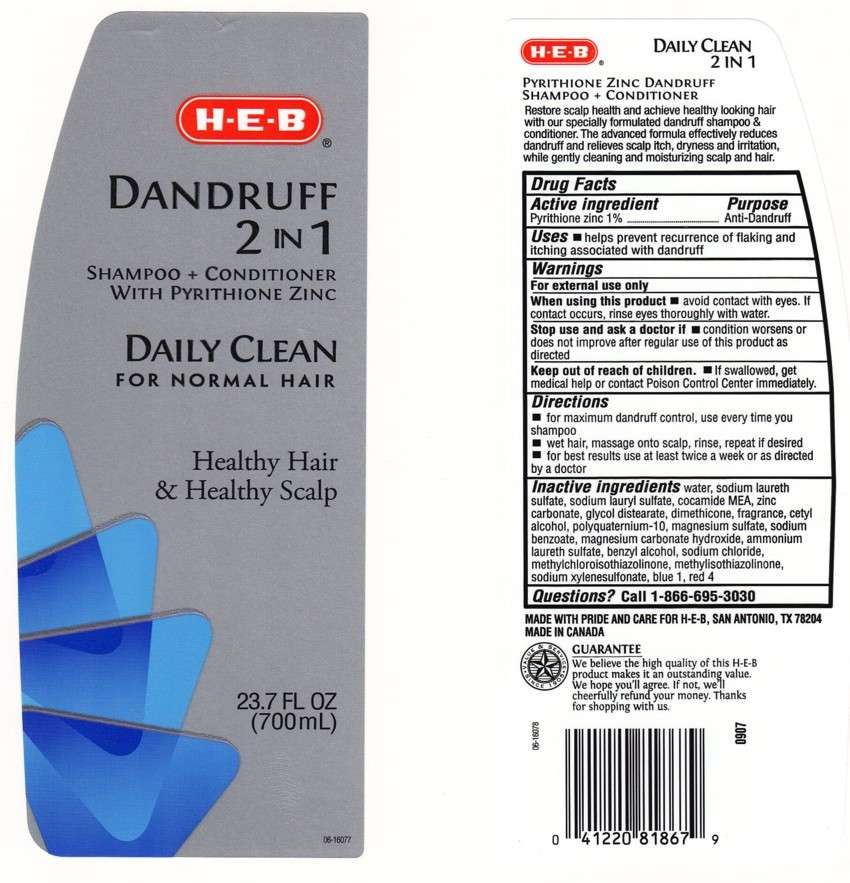 DANDRUFF 2 IN 1 SHAMPOO AND CONDITIONER