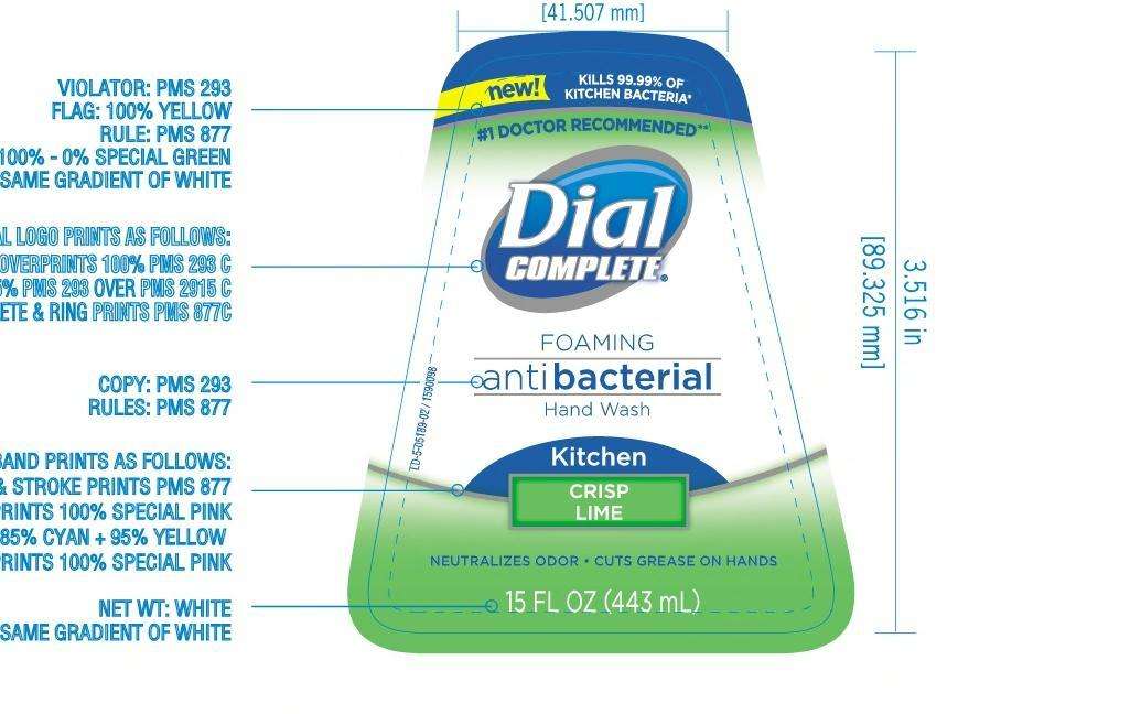 Dial Complete Antibacterial Foaming Hand Washkitchen crisp limkitchen crisp lim