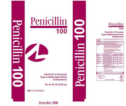 Penicillin 100