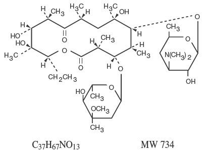 ERYTHROMYCIN