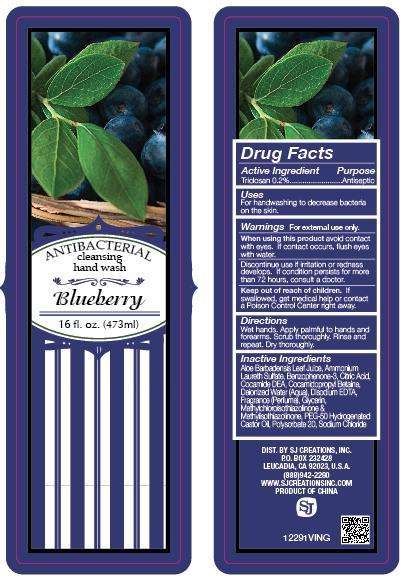 Blueberry Antibacterial Hand Wash