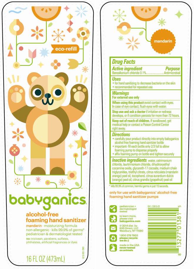 BabyGanics Alcohol Free Foaming Hand Sanitizer