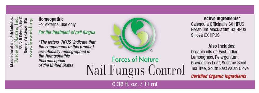 Nail Fungus Control