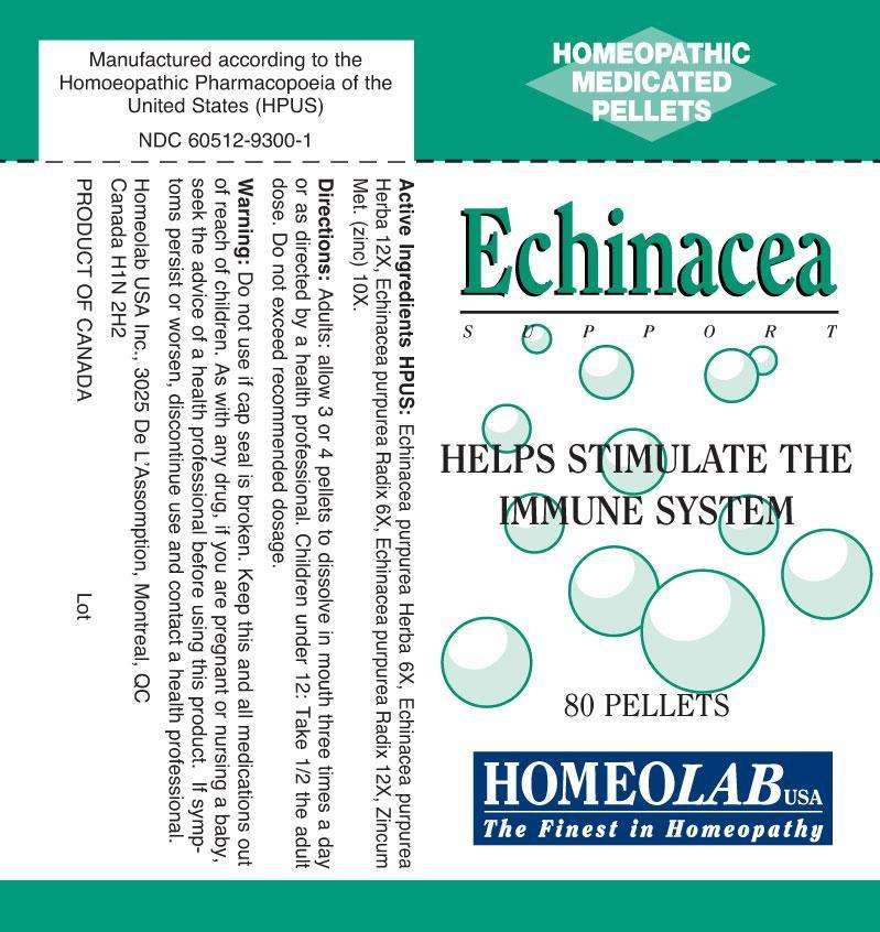 ECHINACEA SUPPORT