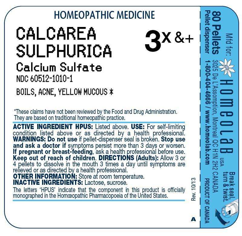 CALCAREA SULPHURICA