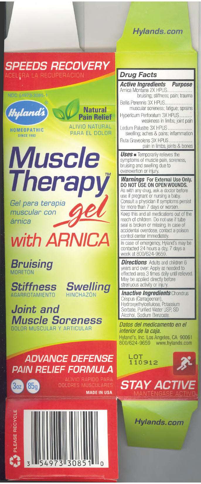 MUSCLE THERAPY WITH ARNICA