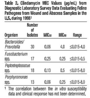 Clindamycin Hydrochloride Oral