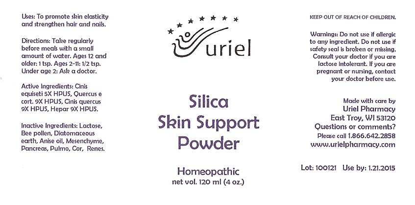 Silica Skin Support