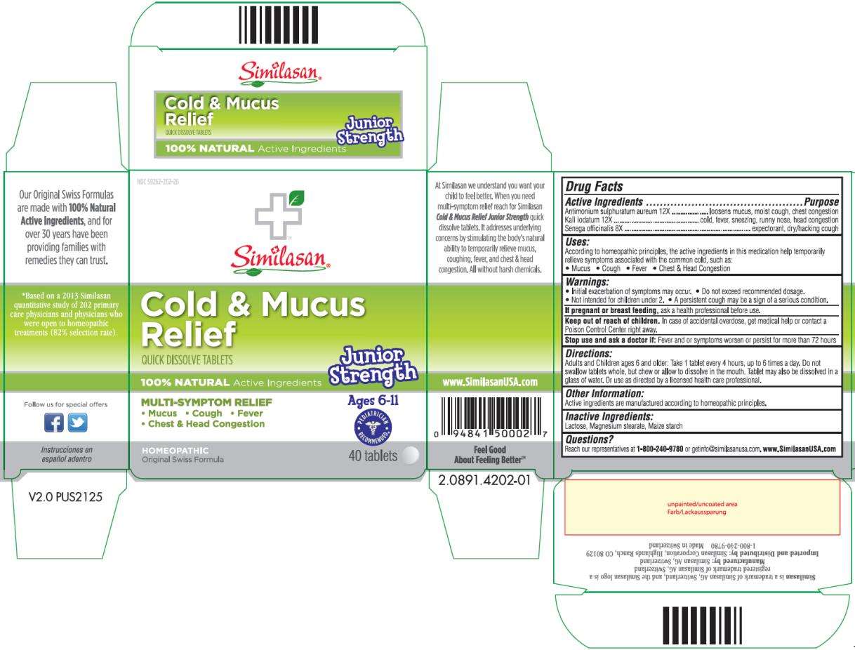 Cold and Mucus Relief Junior Strength