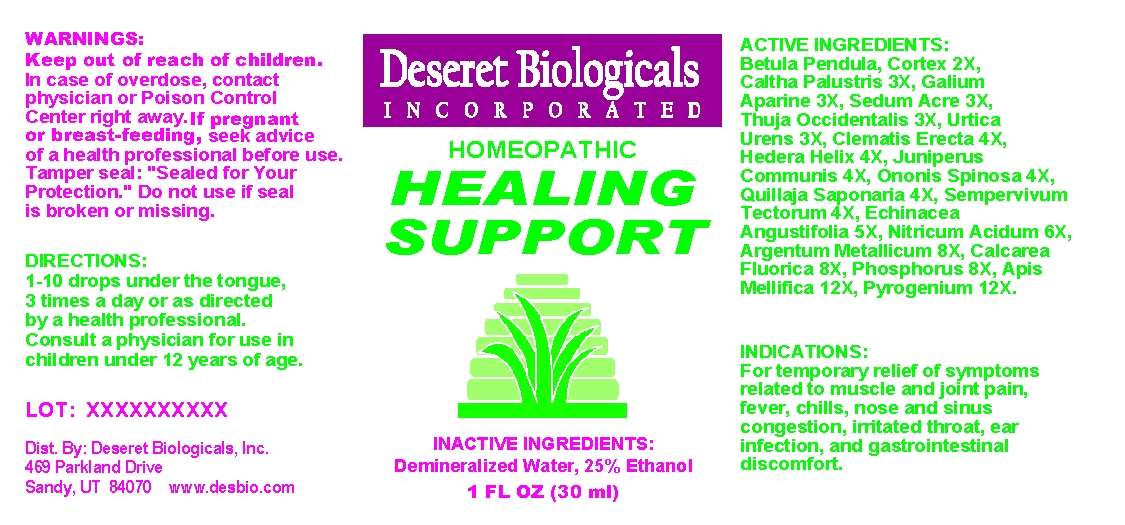 Healing Support