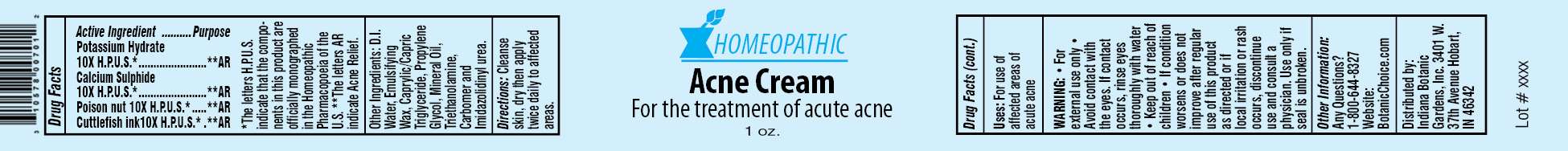 Homeopathic Acne