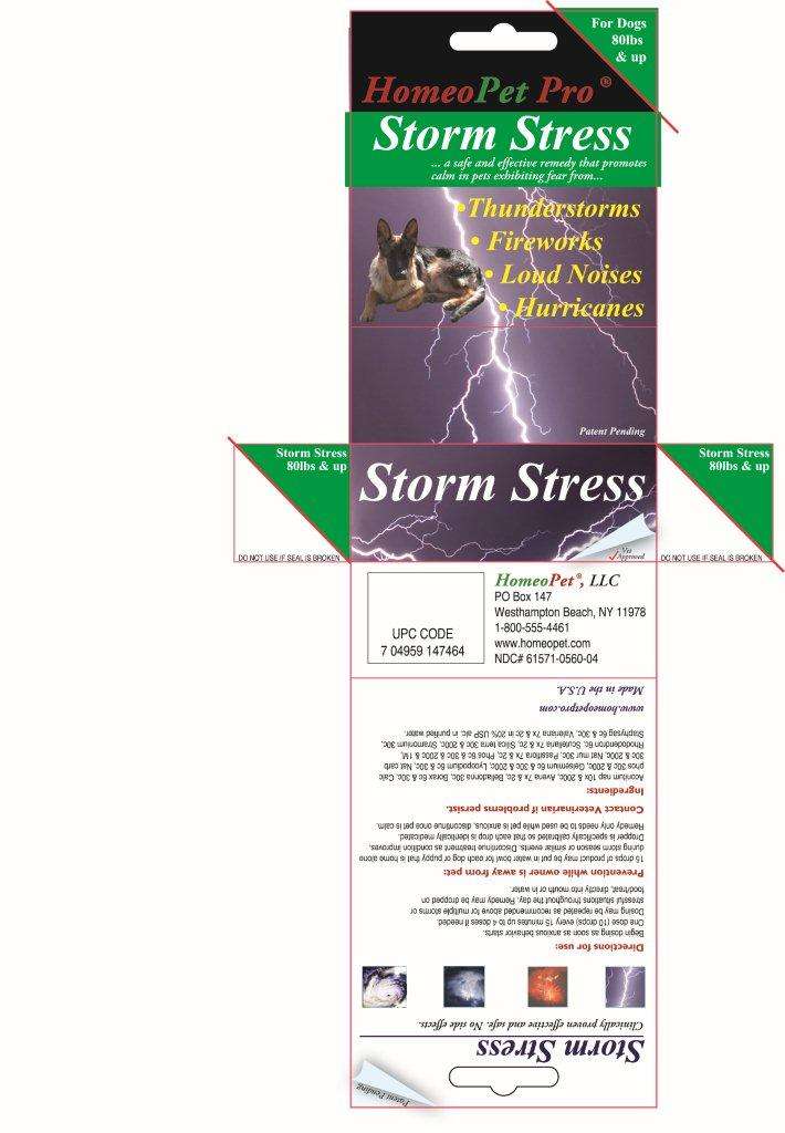 Storm Stress