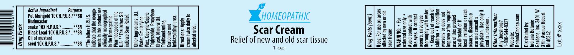 Homeopathic Scar