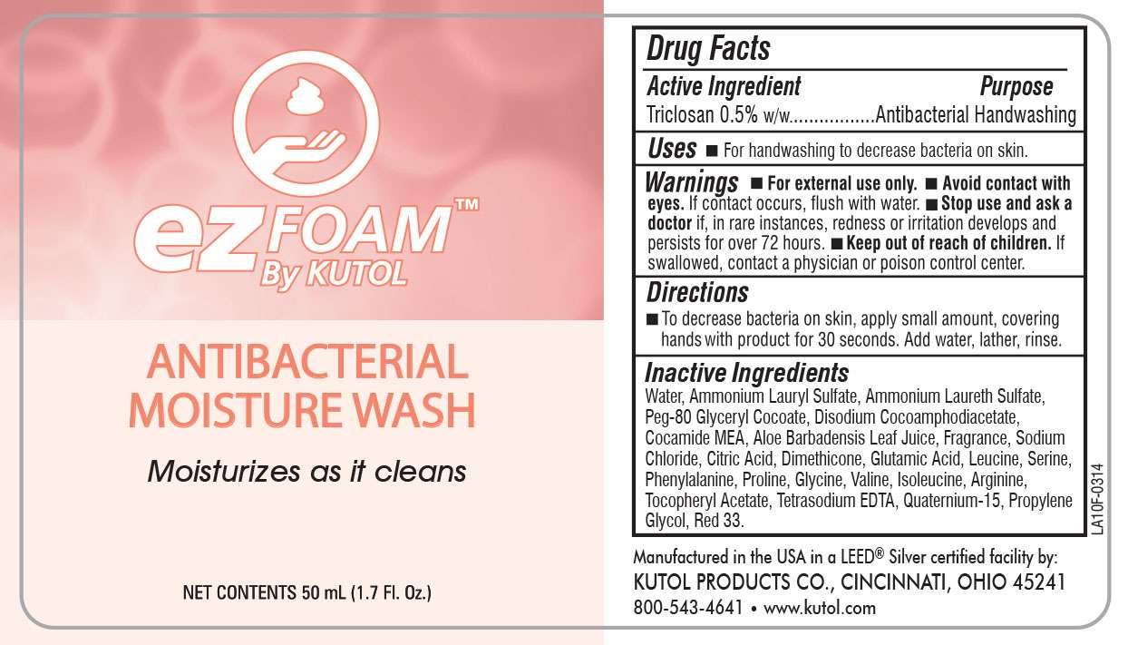 eZFoam Foaming Antibacterial Moisture Wash
