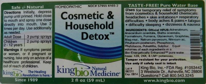 Cosmetic and Household Detox