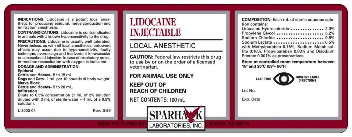 LIDOCAINE