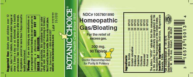 Homeopathic Gas Relief Formula