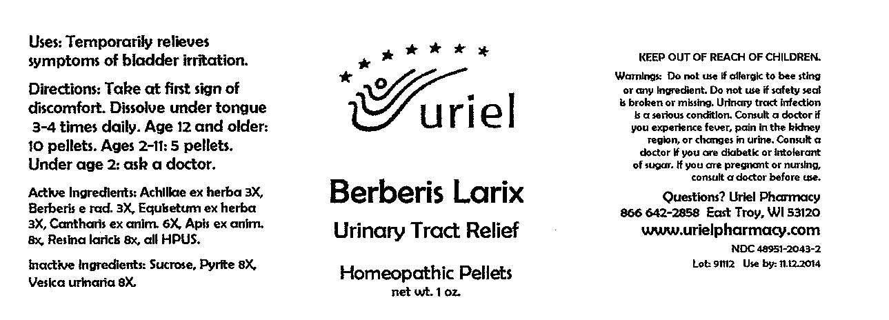 Berberis Larix Urinary Tract Relief