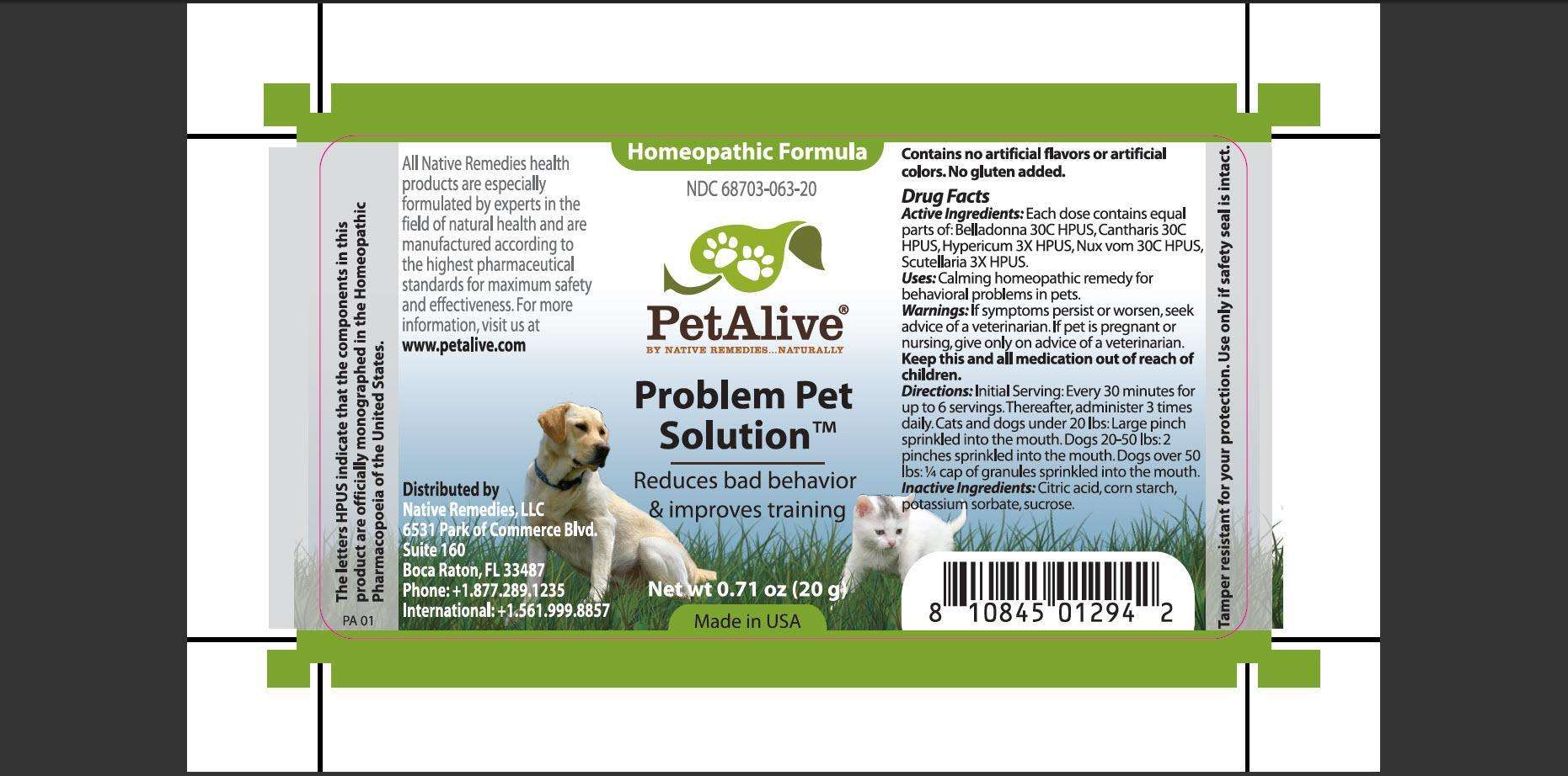 PetAlive Problem Pet Solution