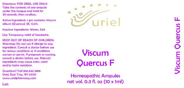 Viscum Quercus