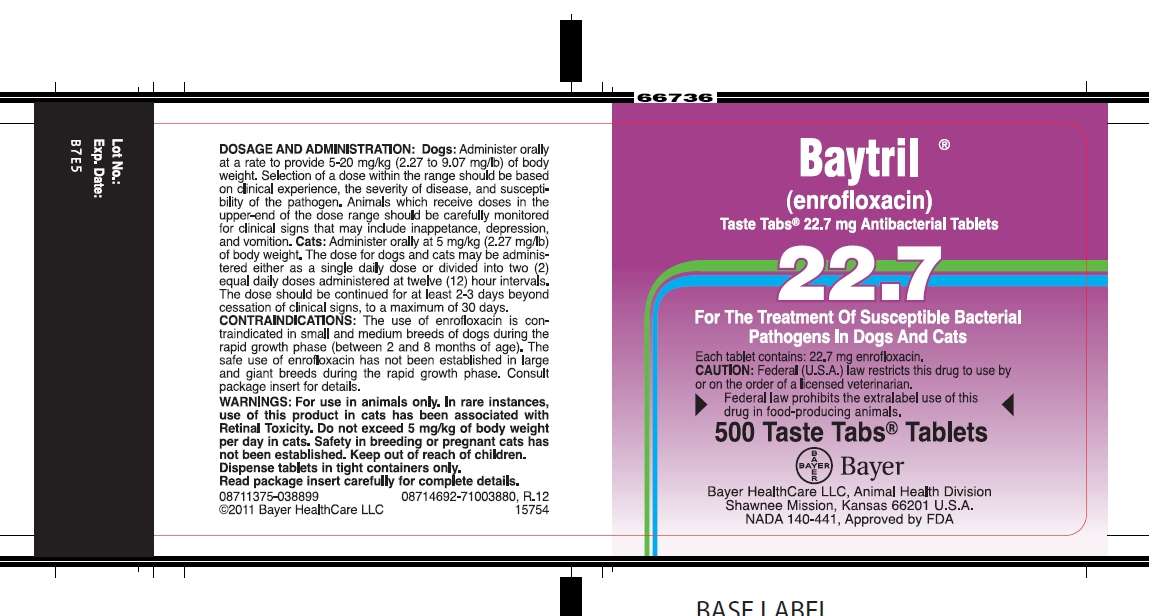 Baytril Taste Tabs