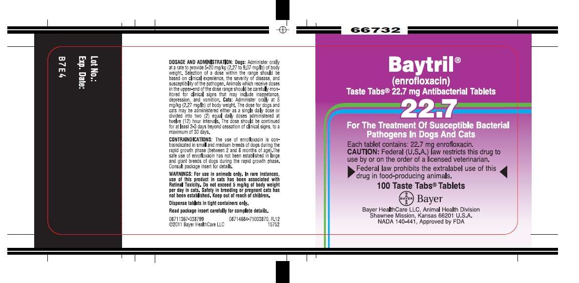 Baytril Taste Tabs