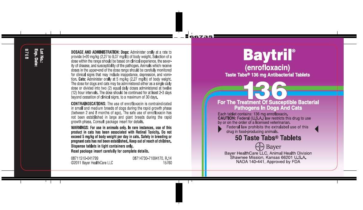 Baytril Taste Tabs