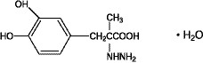 Carbidopa and Levodopa