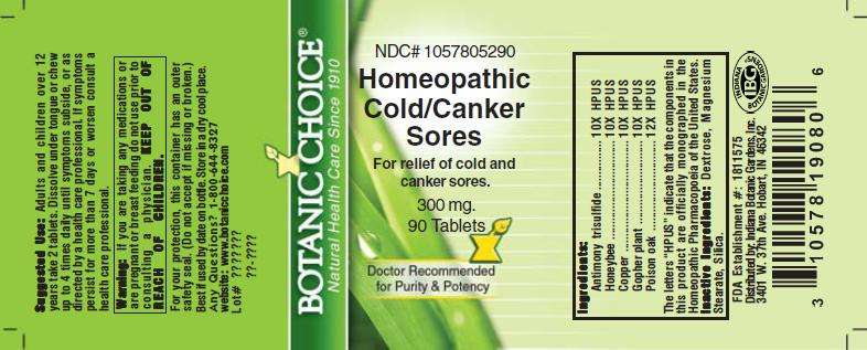 Homeopathic Cold and Canker Sore Formula