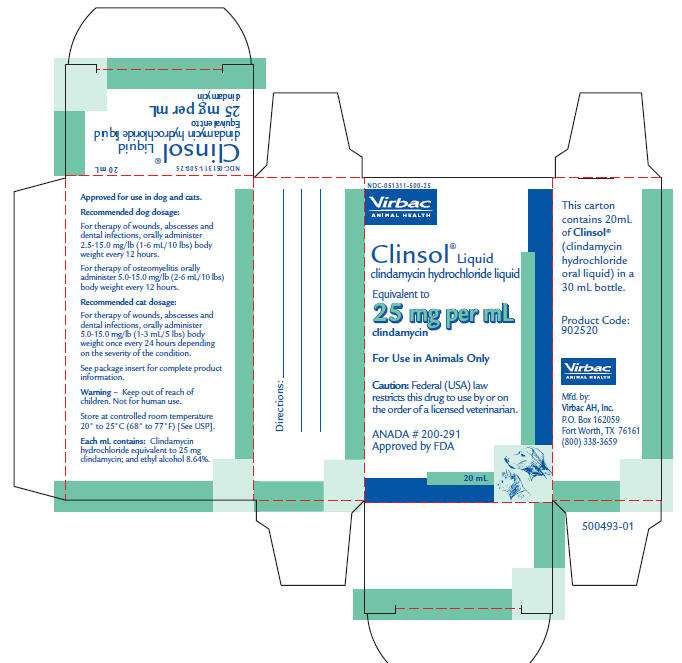 Clinsol