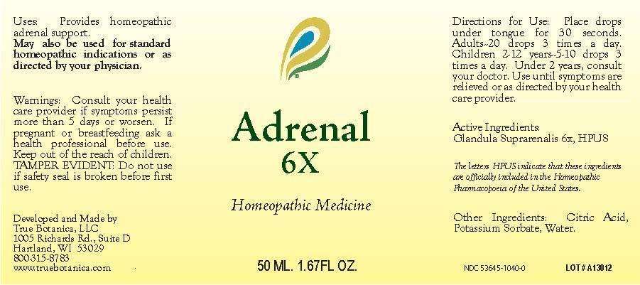 Adrenal