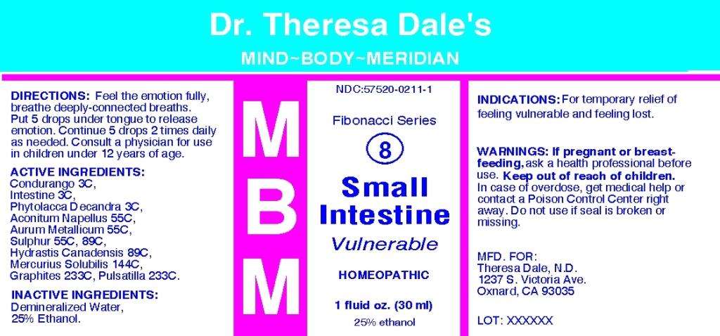 MBM Small Intestine