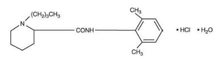 Bupivacaine Hydrochloride