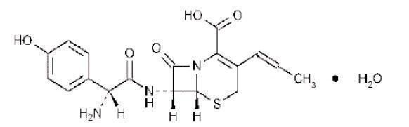 Cefprozil