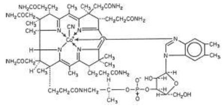 Cyanocobalamin