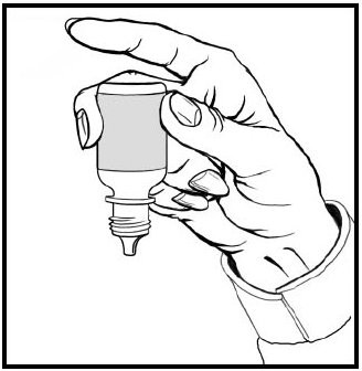 Dorzolamide Hydrochloride and Timolol Maleate 