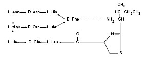 Cortomycin