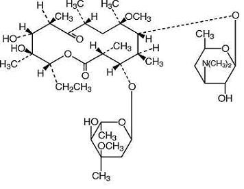 Clarithromycin