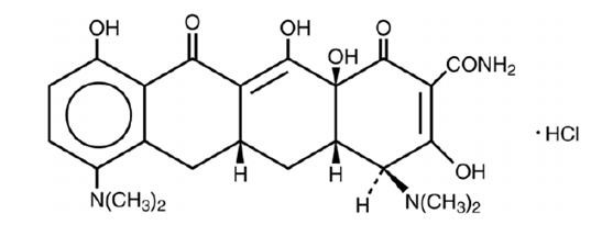 MINOCYCLINE HYDROCHLORIDE