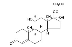 Antibiotic Ear (Neo/Polym/HC)