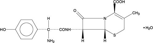 Cefadroxil