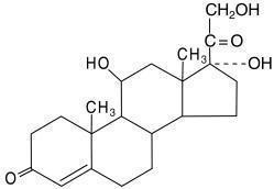 Hydrocortisone