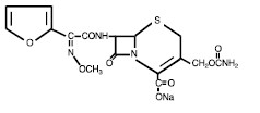 Cefuroxime