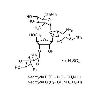Neomycin and Polymyxin B Sulfates