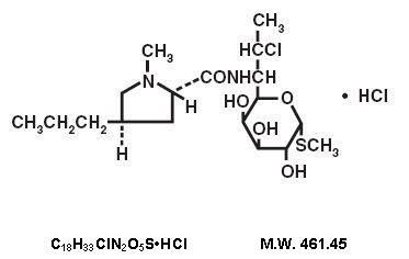 Clindamycin Hydrochloride