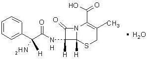 Cephalexin